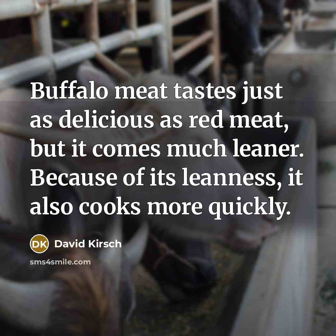 “Buffalo meat tastes just as delicious as red meat, but…” quote by David Kirsch