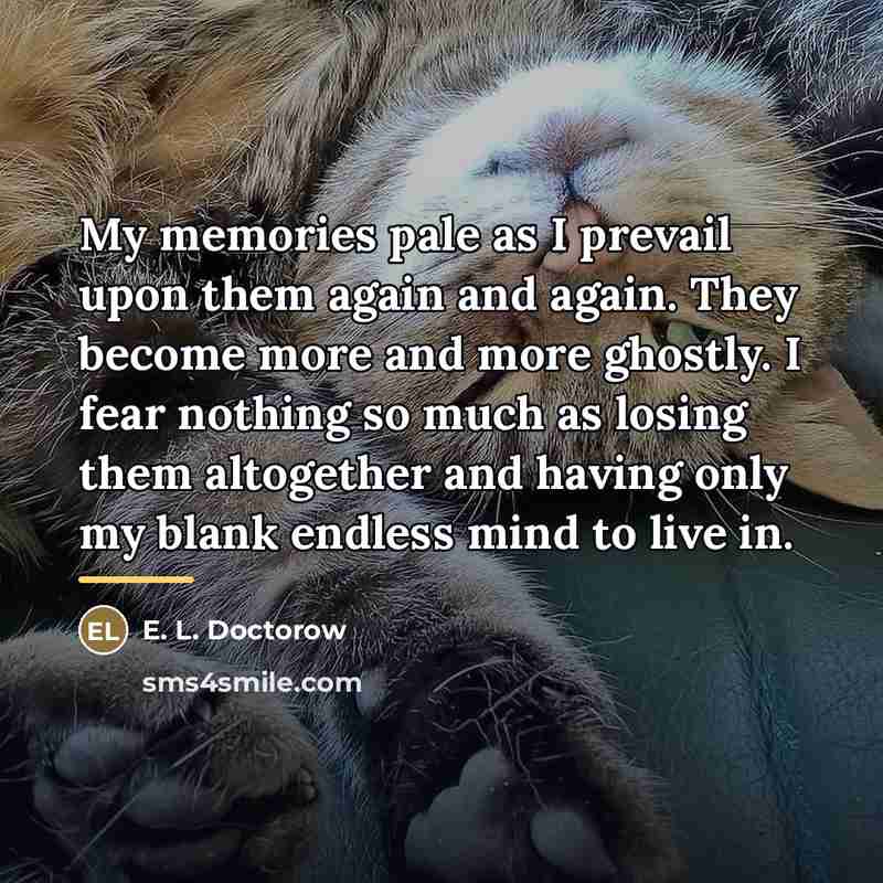 “My memories pale as I prevail upon them again and…” quote by E. L. Doctorow