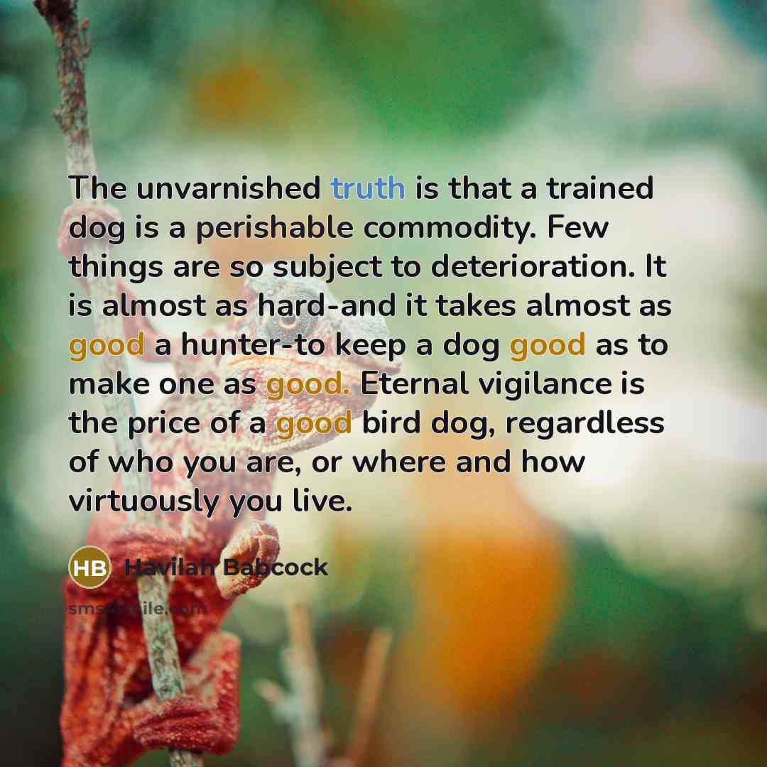 “The unvarnished truth is that a trained dog is a perishable commodity. Few things are so subject to deterioration. It is almost as hard-and it takes almost as good a hunter-to keep a dog good as to make one as good. Eternal vigilance is the price of a good bird dog, regardless of who you are, or…” quote by Havilah Babcock