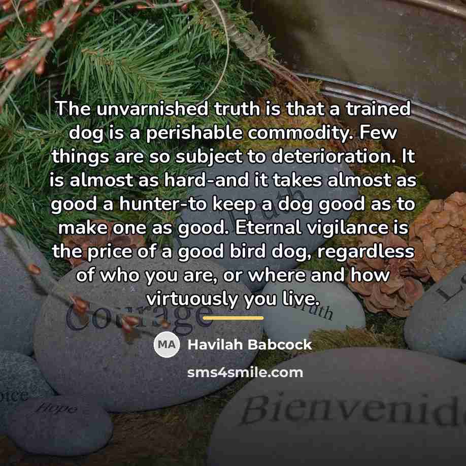 “The unvarnished truth is that a trained dog is a…” quote by Havilah Babcock