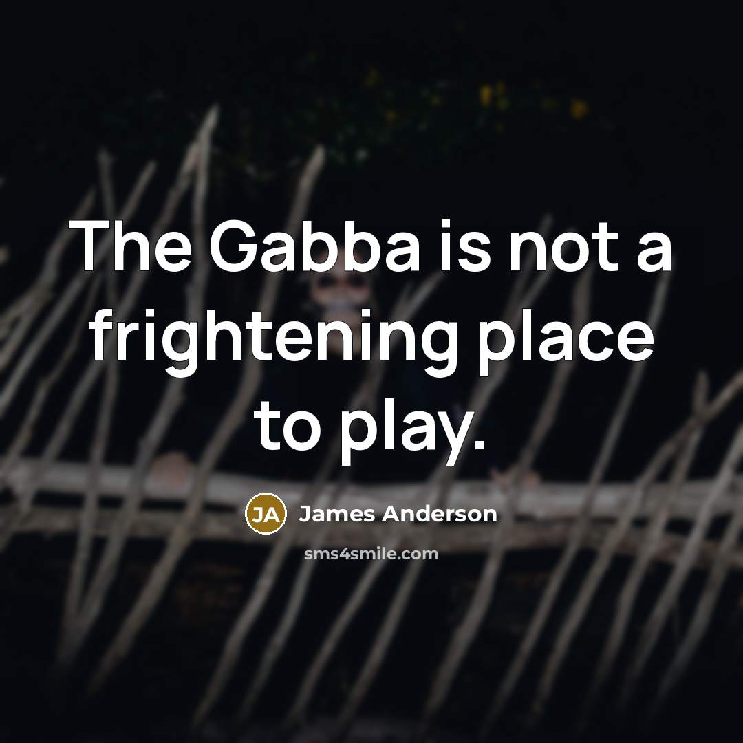“The Gabba is not a frightening place to play.…” quote by James Anderson