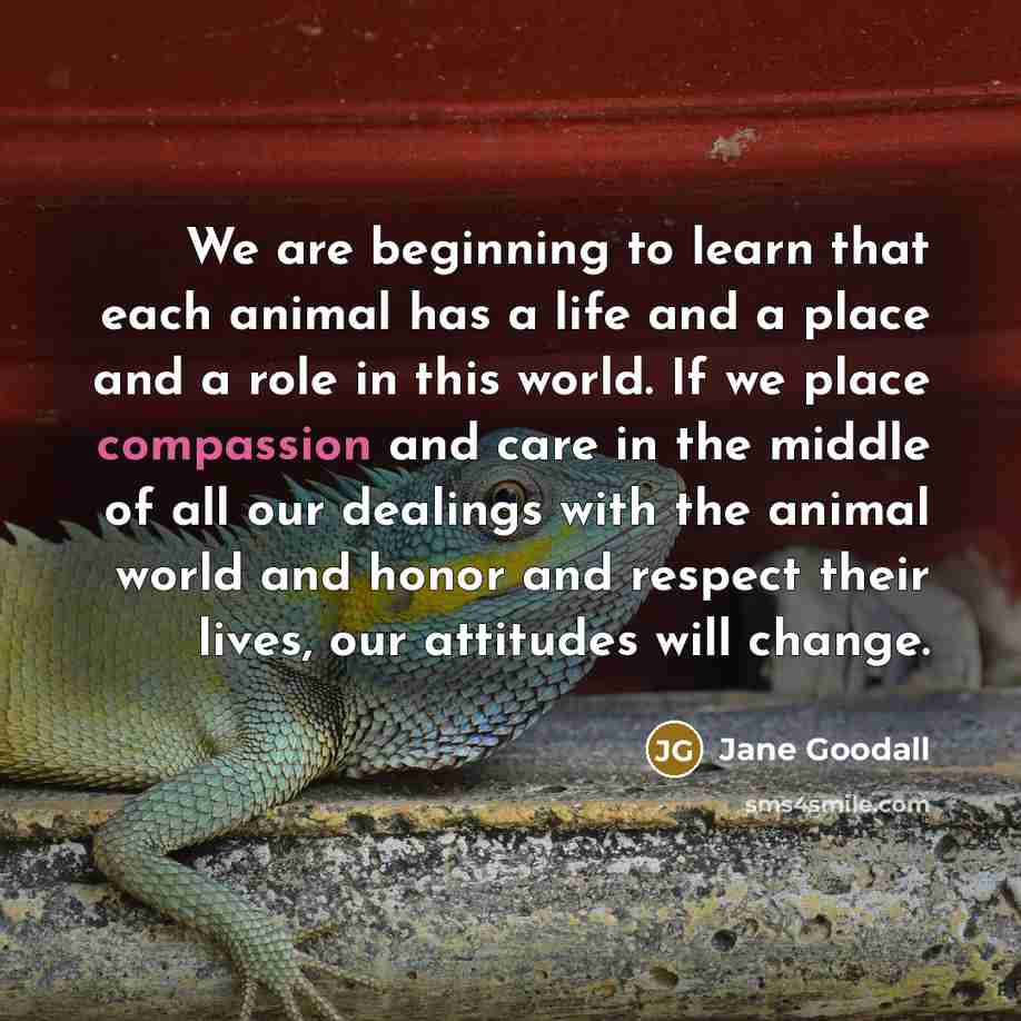 “We are beginning to learn that each animal has a…” quote by Jane Goodall