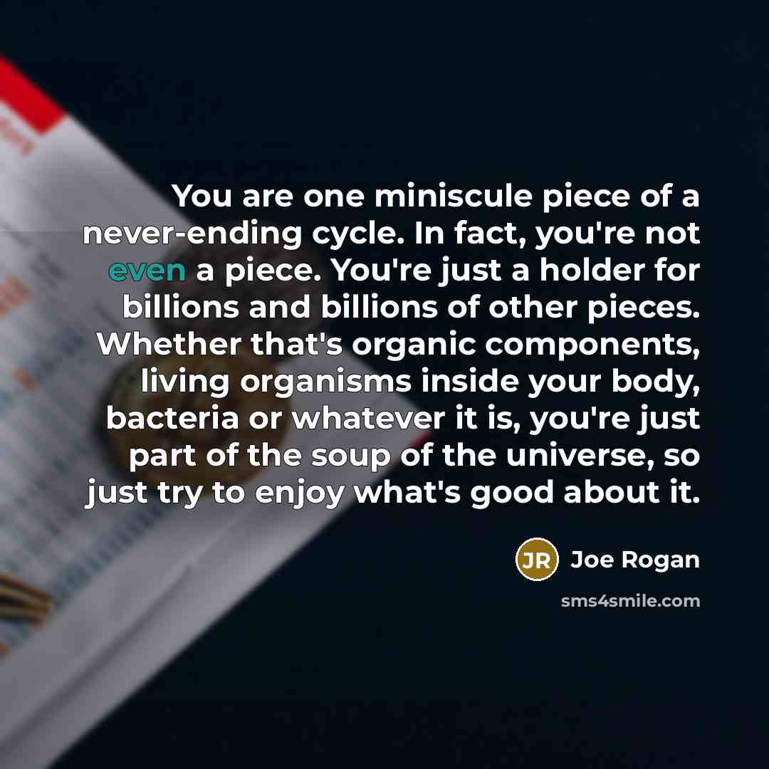 “You are one miniscule piece of a never-ending cycle. In…” quote by Joe Rogan