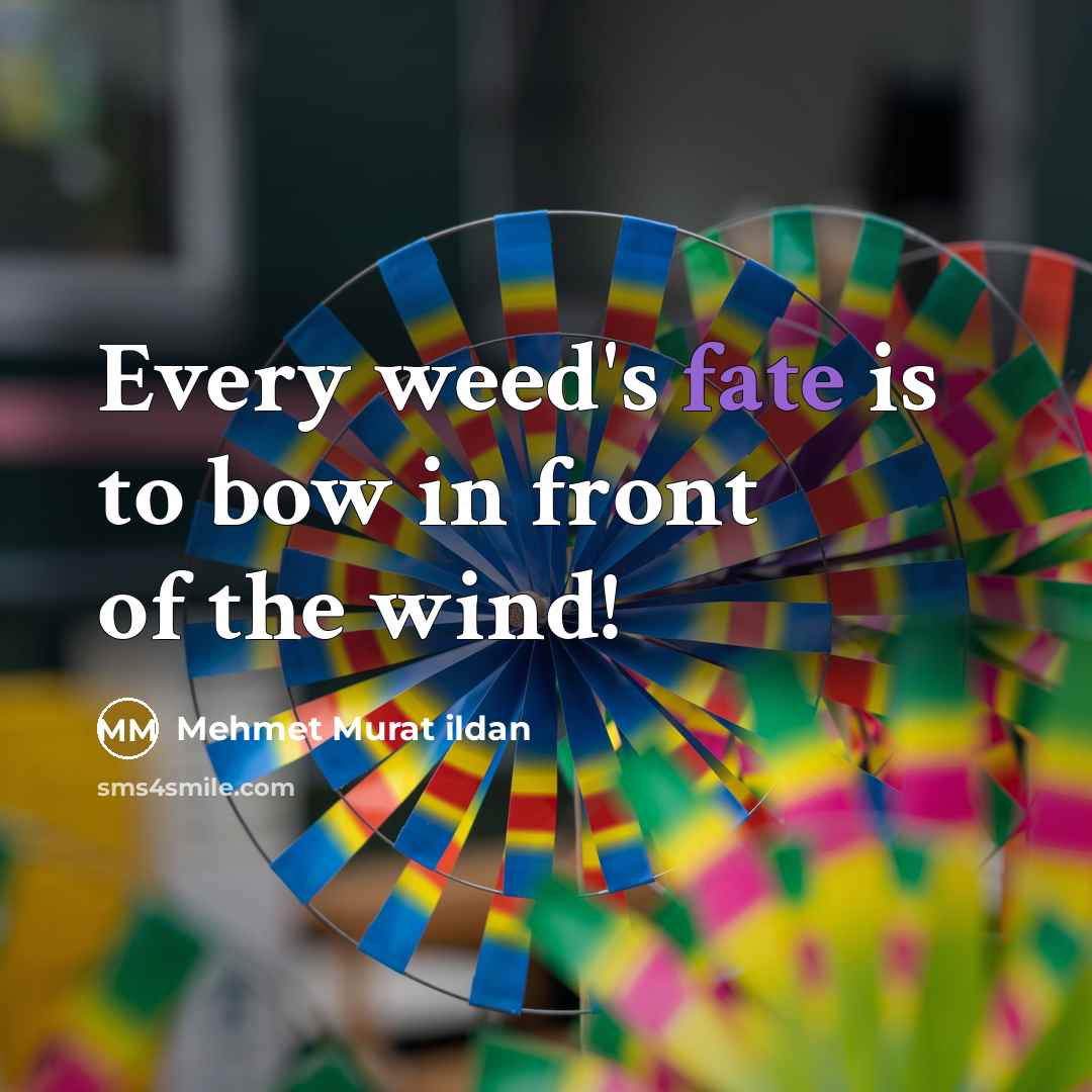 “Every weed's fate is to bow in front of the…” quote by Mehmet Murat Ildan