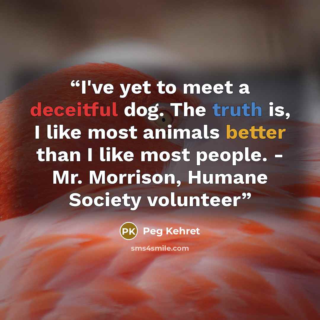 “I've yet to meet a deceitful dog. The truth is, I like most animals better than I like most people. - Mr. Morrison, Humane Society volunteer” quote by Peg Kehret