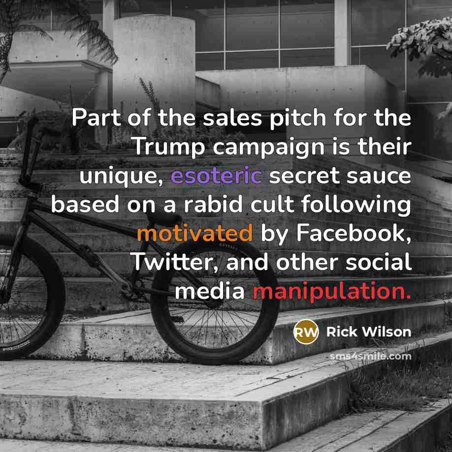 “Part of the sales pitch for the Trump campaign is…” quote by Rick Wilson
