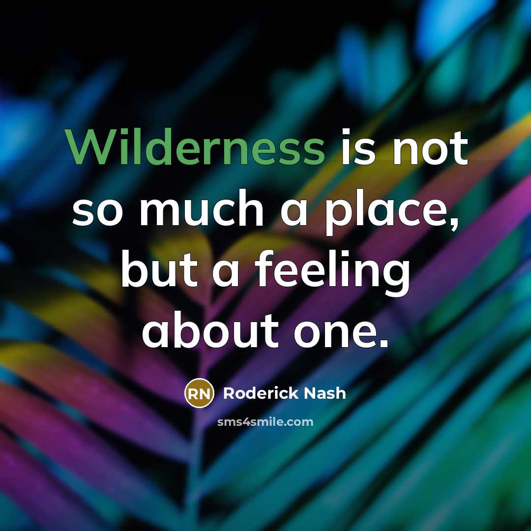 “Wilderness is not so much a place, but a feeling…” quote by Roderick Nash