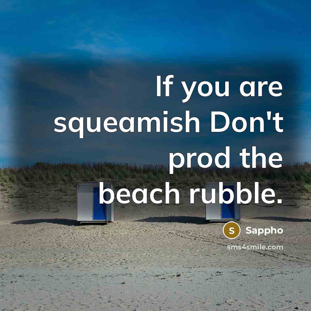 “If you are squeamish Don't prod the beach rubble.…” quote by Sappho