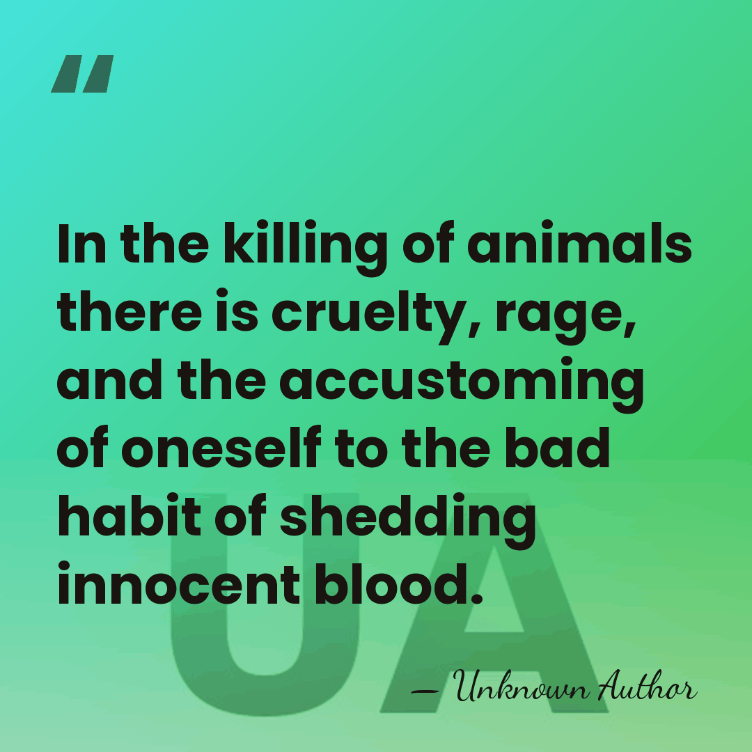 In the killing of animals there is cruelty, rage, and the accustoming&hellip; - Unknown Author