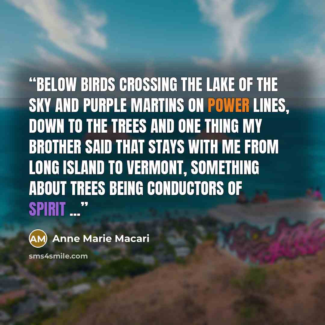 “Below birds crossing the lake of the sky and purple martins on power lines, down to the trees and one thing my brother said that stays with me from Long Island to Vermont, something about trees being conductors of spirit ...” quote by Anne Marie Macari