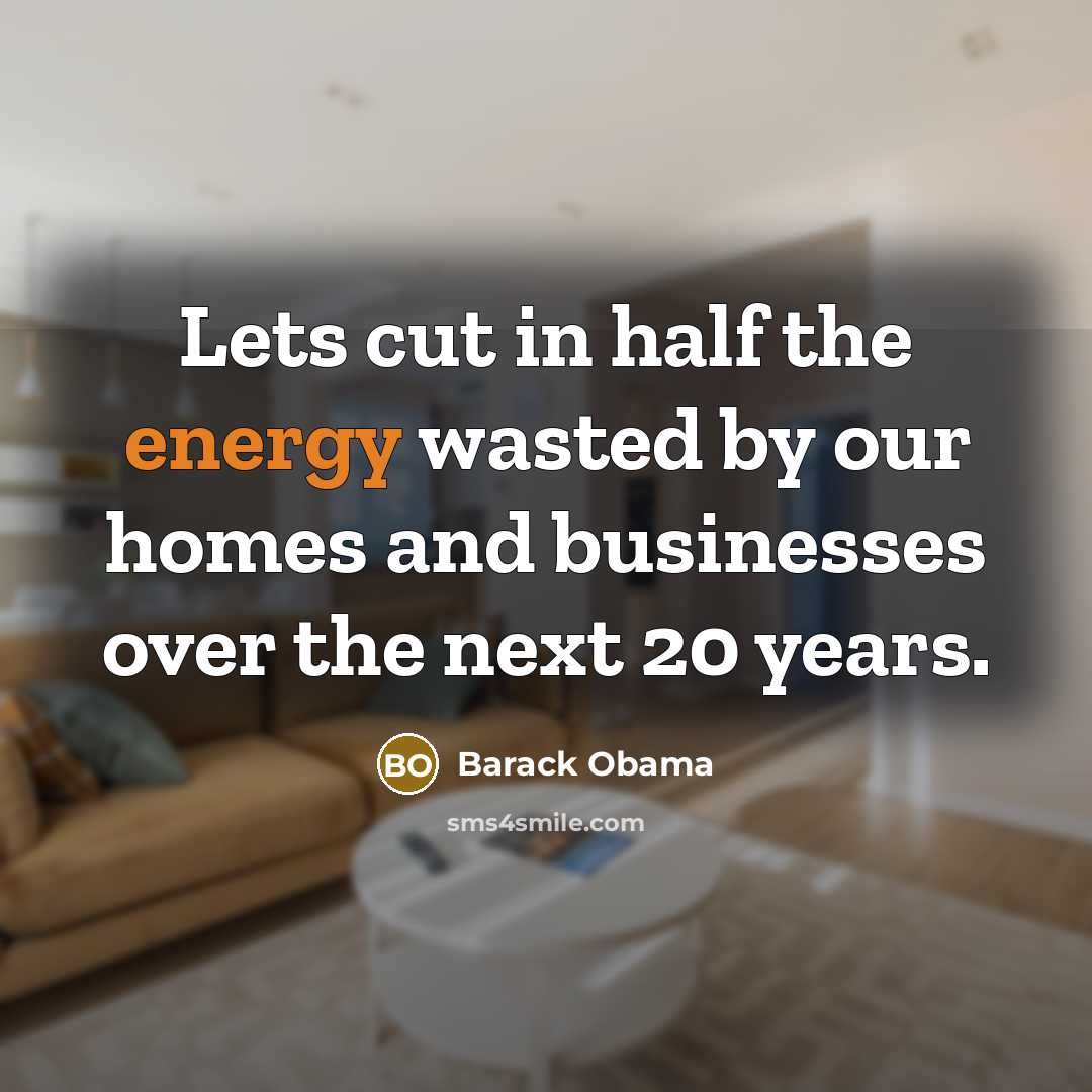 “Lets cut in half the energy wasted by our homes…” quote by Barack Obama