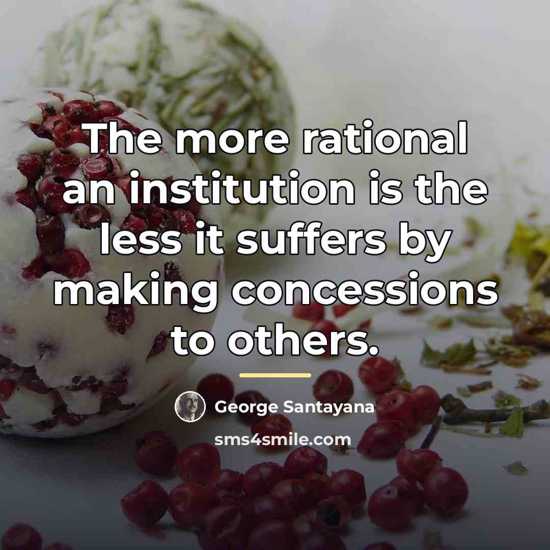 “The more rational an institution is the less it suffers…” quote by George Santayana
