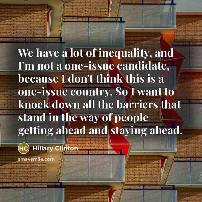 “We have a lot of inequality, and I'm not a…” quote by Hillary Clinton