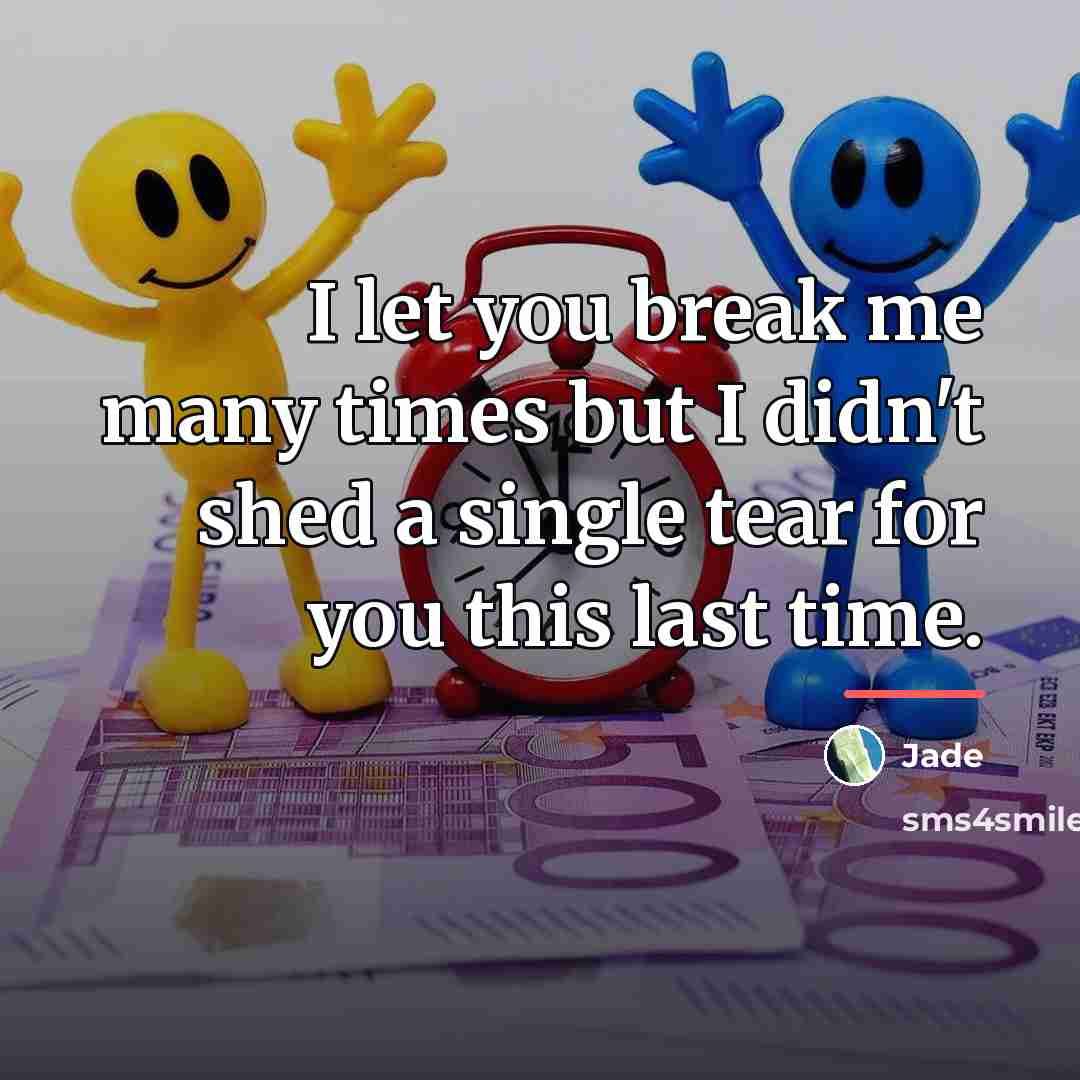 “I let you break me many times but I didn't…” quote by Jade