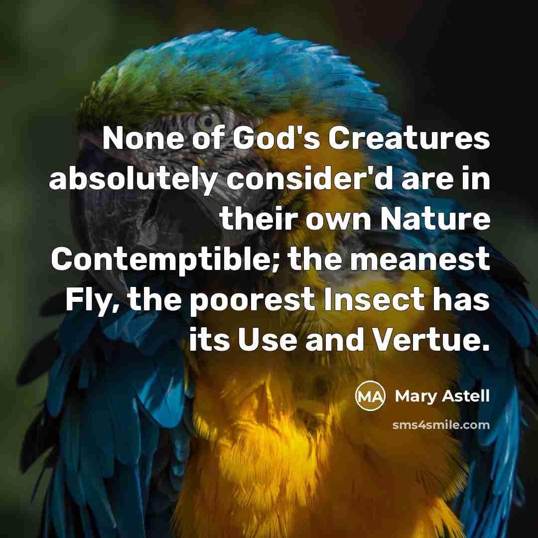“None of God's Creatures absolutely consider'd are in their own…” quote by Mary Astell