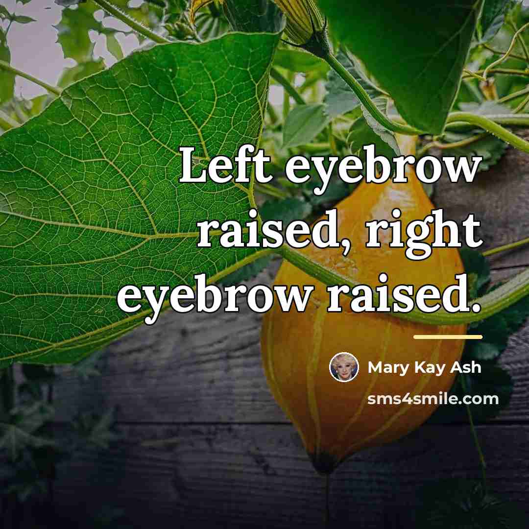 “Left eyebrow raised, right eyebrow raised.…” quote by Mary Kay Ash