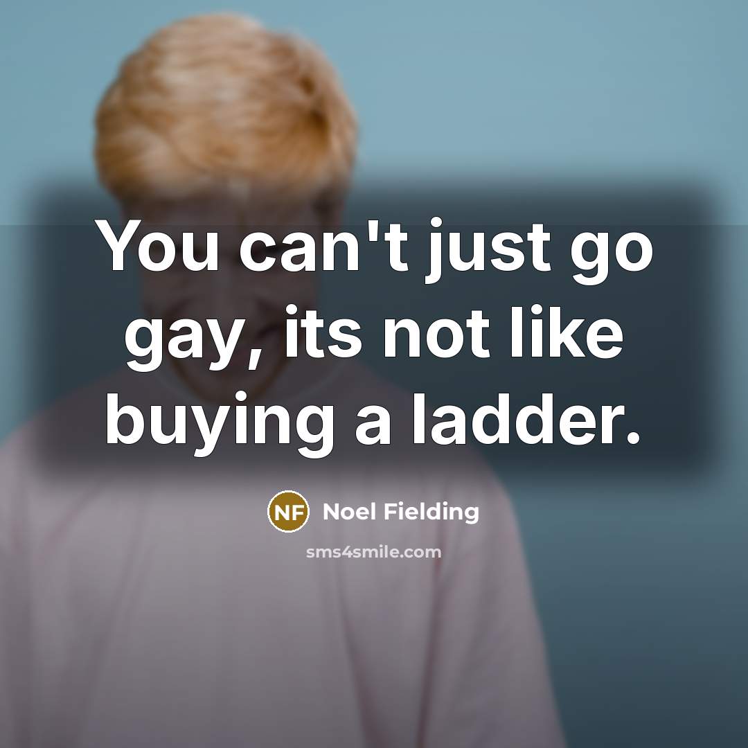 “You can't just go gay, its not like buying a…” quote by Noel Fielding