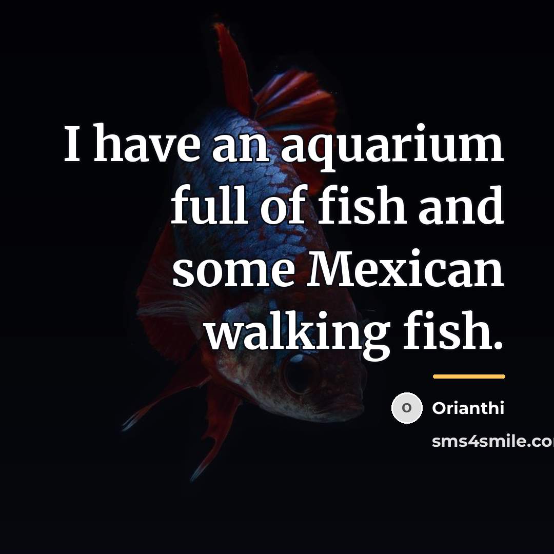 “I have an aquarium full of fish and some Mexican…” quote by Orianthi