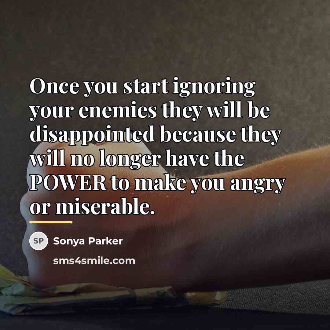 “Once you start ignoring your enemies they will be disappointed…” quote by Sonya Parker