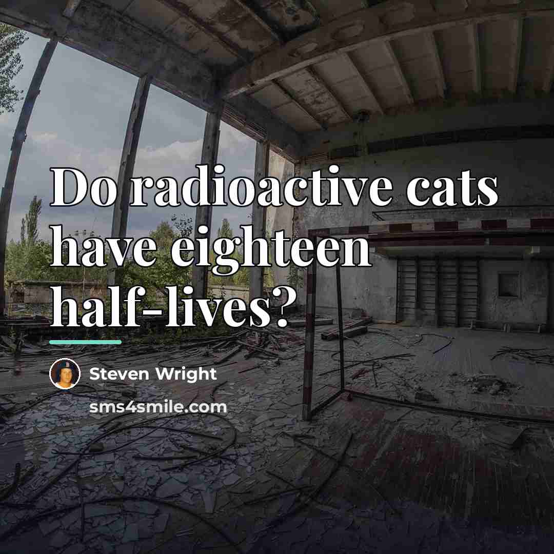 “Do radioactive cats have eighteen half-lives?…” quote by Steven Wright