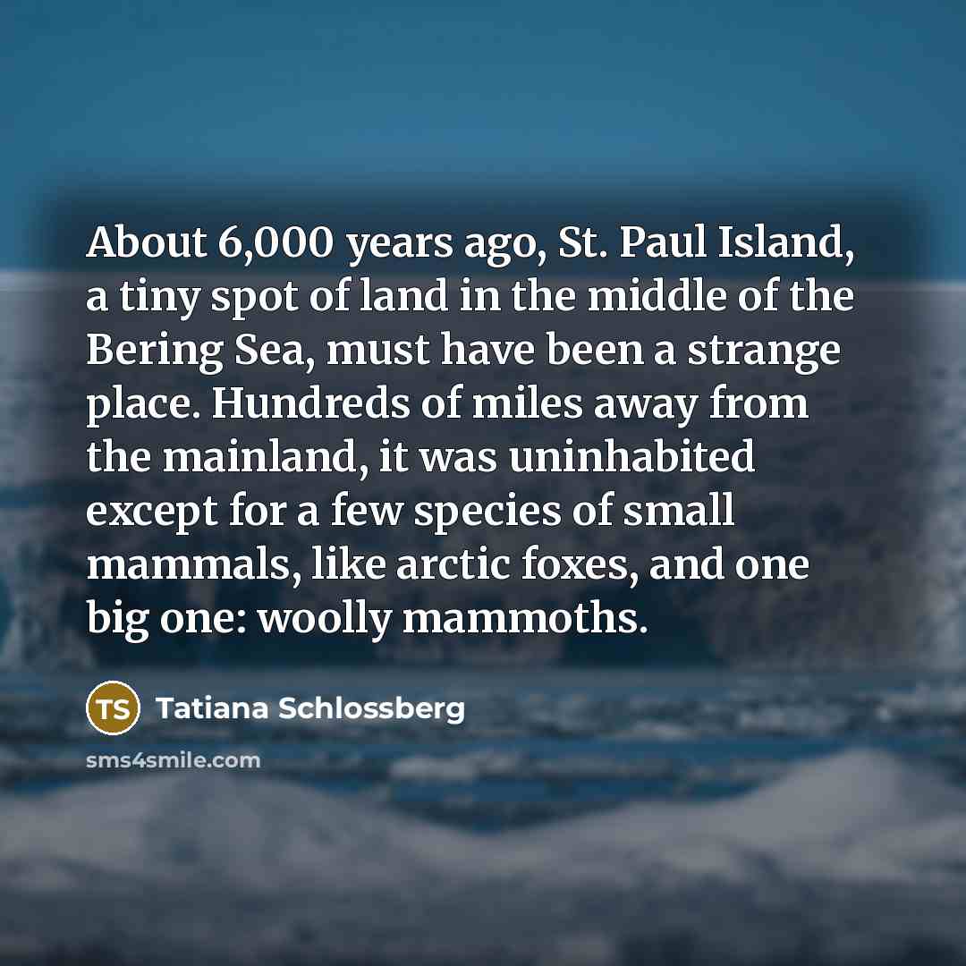 “About 6,000 years ago, St. Paul Island, a tiny spot…” quote by Tatiana Schlossberg