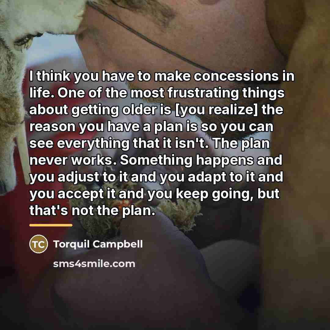 “I think you have to make concessions in life. One…” quote by Torquil Campbell