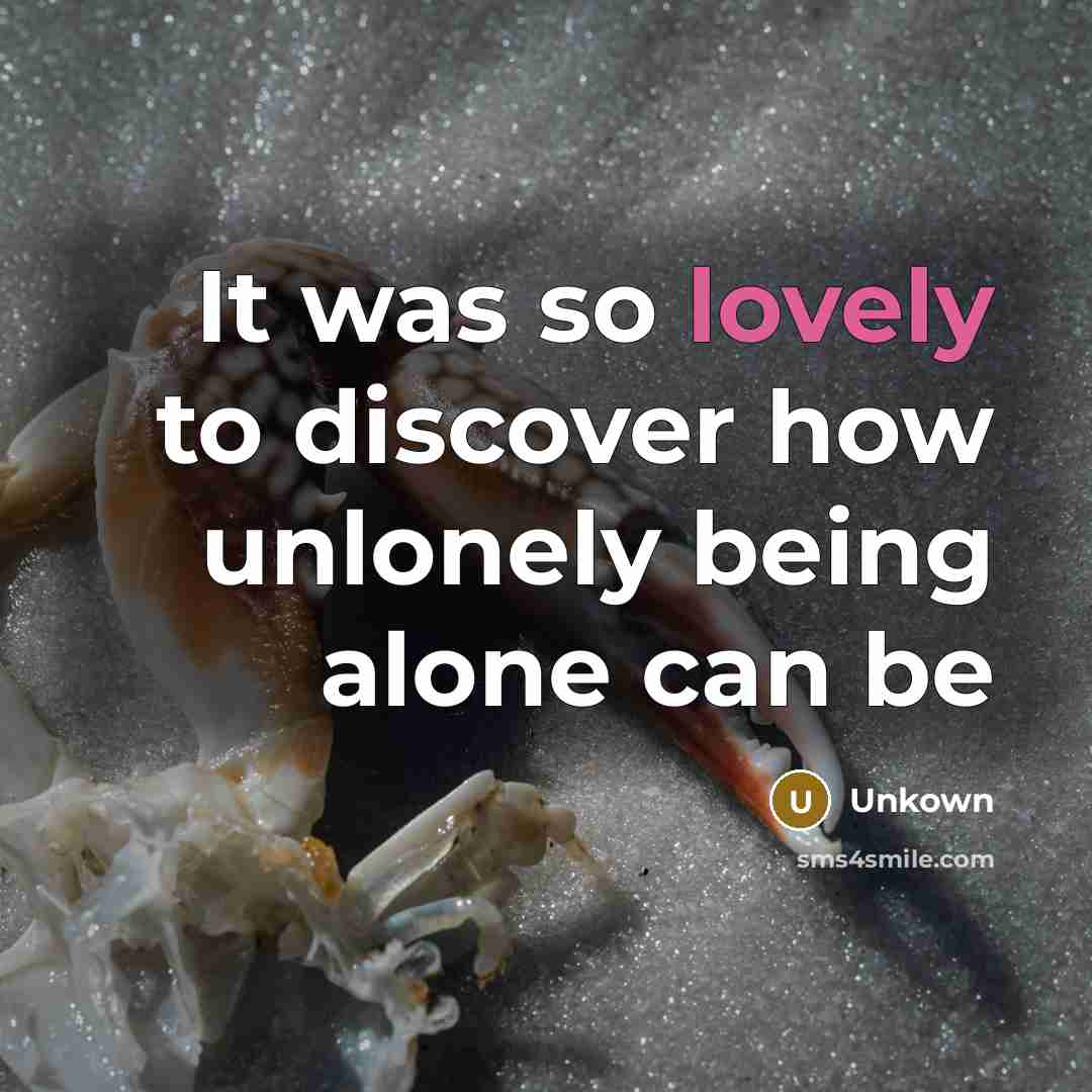 “It was so lovely to discover how unlonely being alone…” quote by Unkown