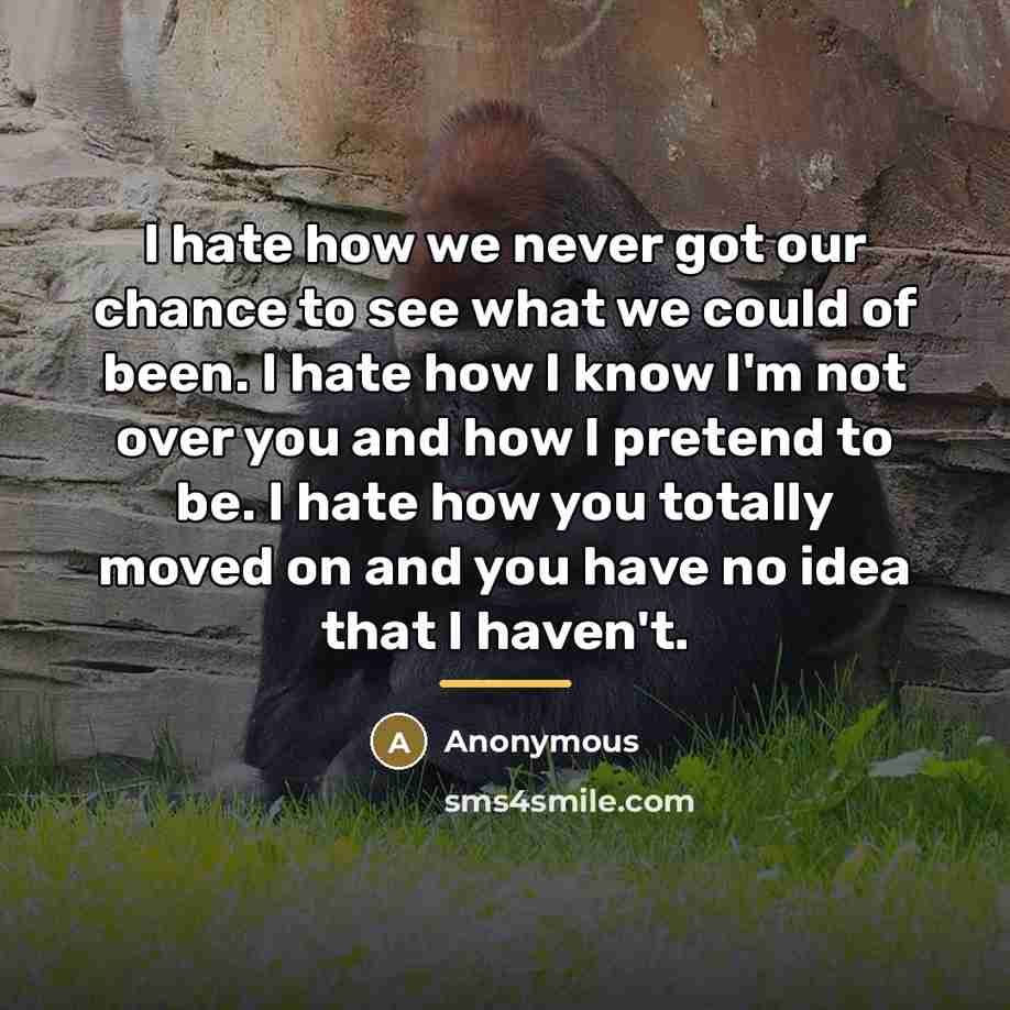 “I hate how we never got our chance to see…” quote by Anonymous