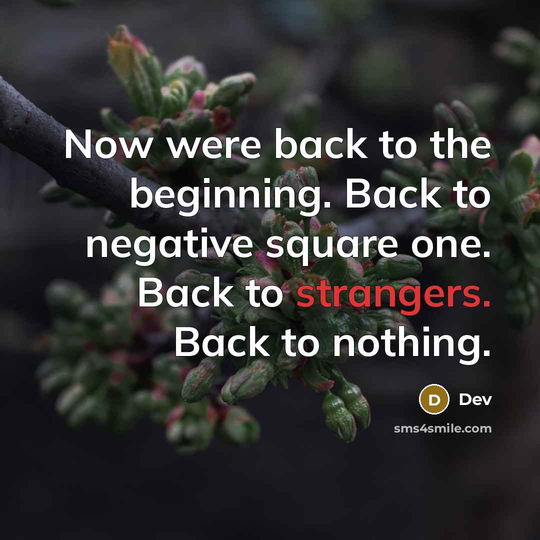“Now were back to the beginning. Back to negative square one. Back to strangers. Back to nothing.” quote by Dev