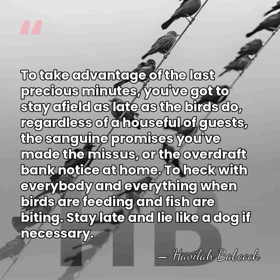 To take advantage of the last precious minutes, you've got to stay&hellip; - Havilah Babcock