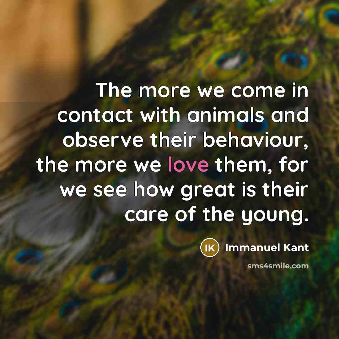 “The more we come in contact with animals and observe…” quote by Immanuel Kant