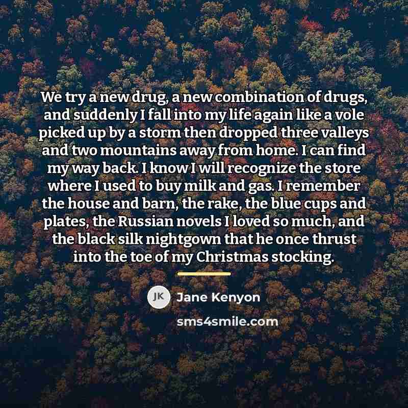 “We try a new drug, a new combination of drugs,…” quote by Jane Kenyon