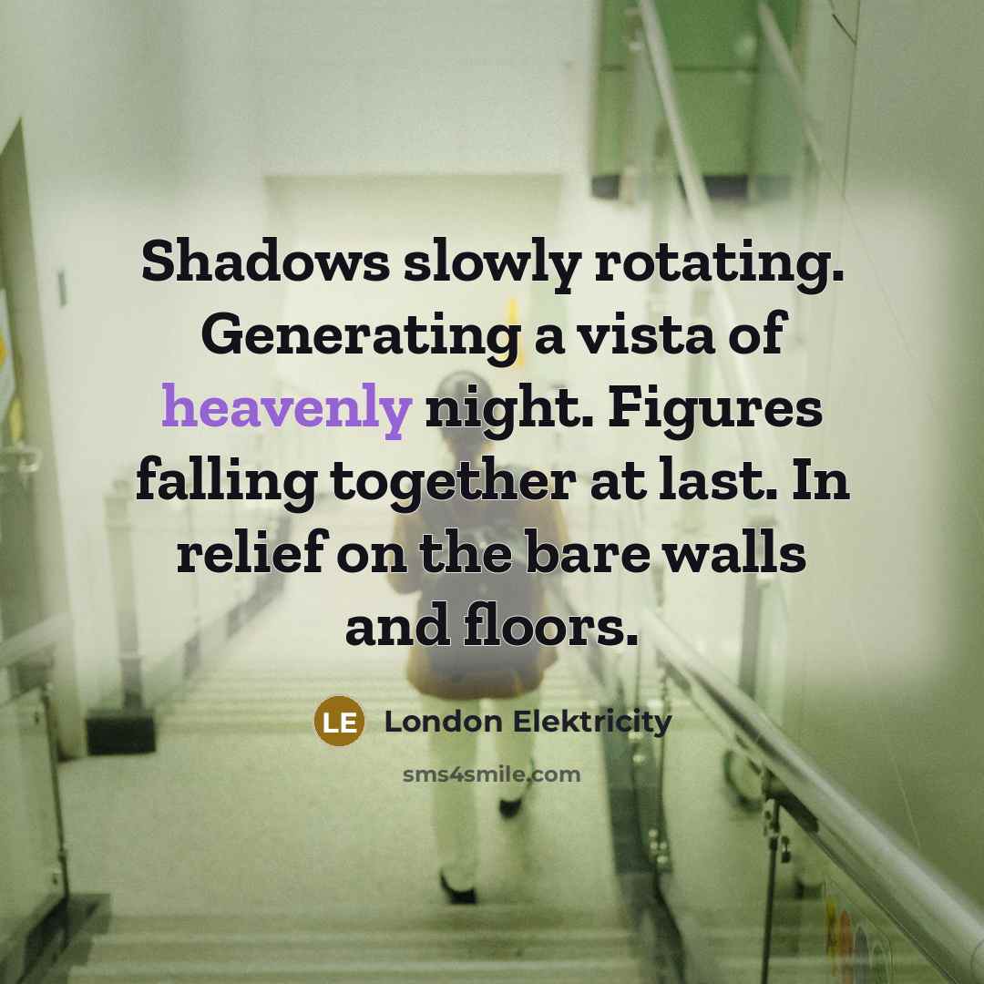 “Shadows slowly rotating. Generating a vista of heavenly night. Figures…” quote by London Elektricity