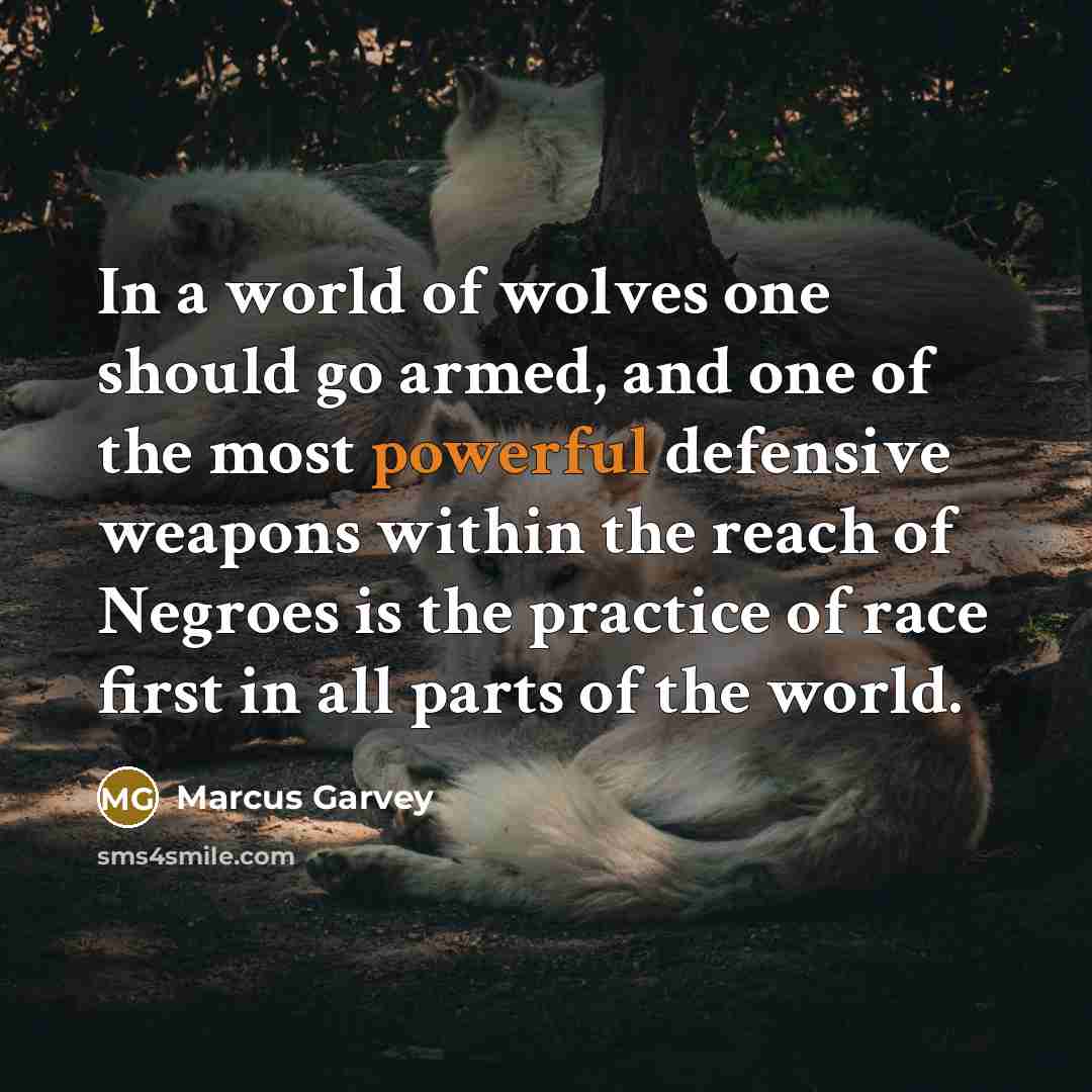 “In a world of wolves one should go armed, and…” quote by Marcus Garvey