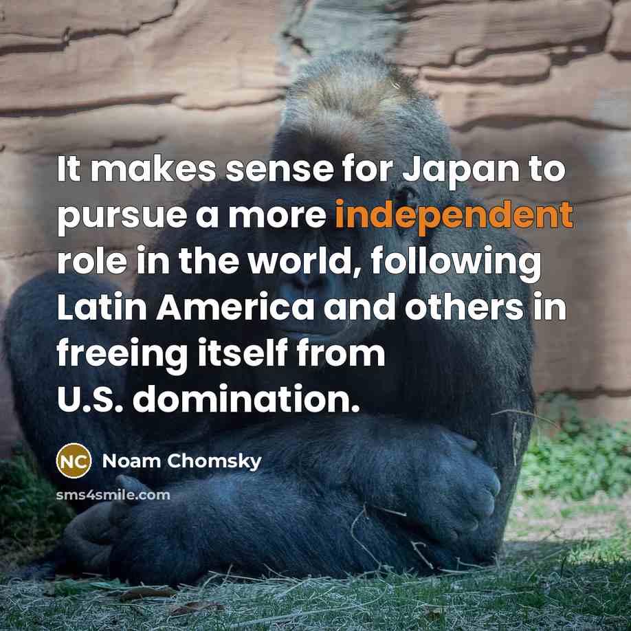 “It makes sense for Japan to pursue a more independent…” quote by Noam Chomsky