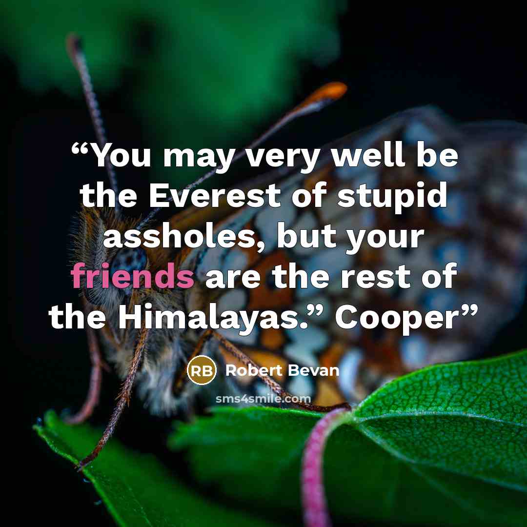 “You may very well be the Everest of stupid assholes, but your friends are the rest of the Himalayas.” Cooper” quote by Robert Bevan