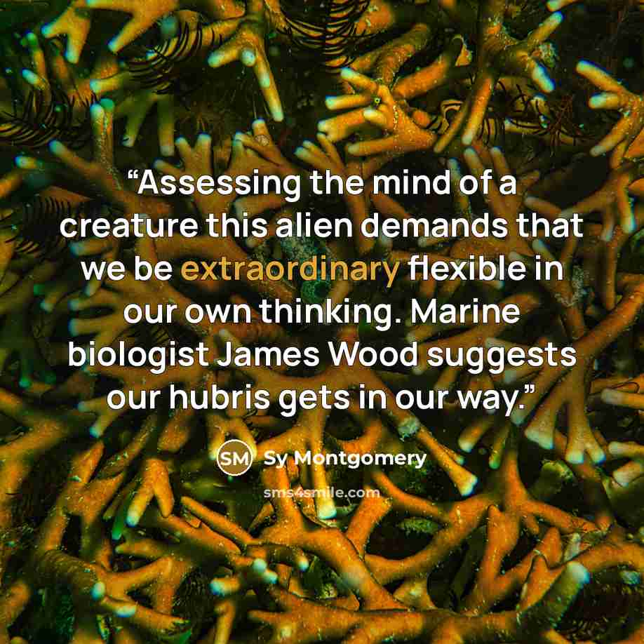 “Assessing the mind of a creature this alien demands that we be extraordinary flexible in our own thinking. Marine biologist James Wood suggests our hubris gets in our way.” quote by Sy Montgomery