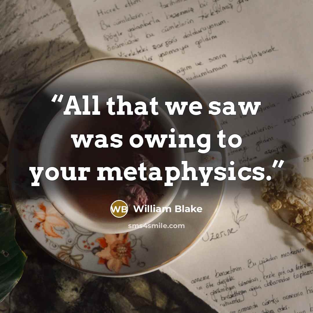 “All that we saw was owing to your metaphysics.” quote by William Blake