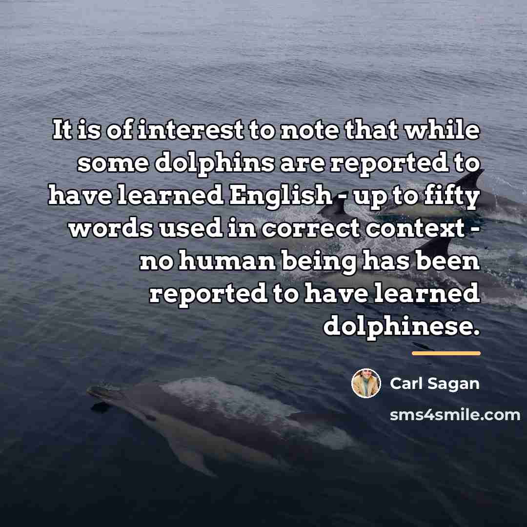 “It is of interest to note that while some dolphins…” quote by Carl Sagan