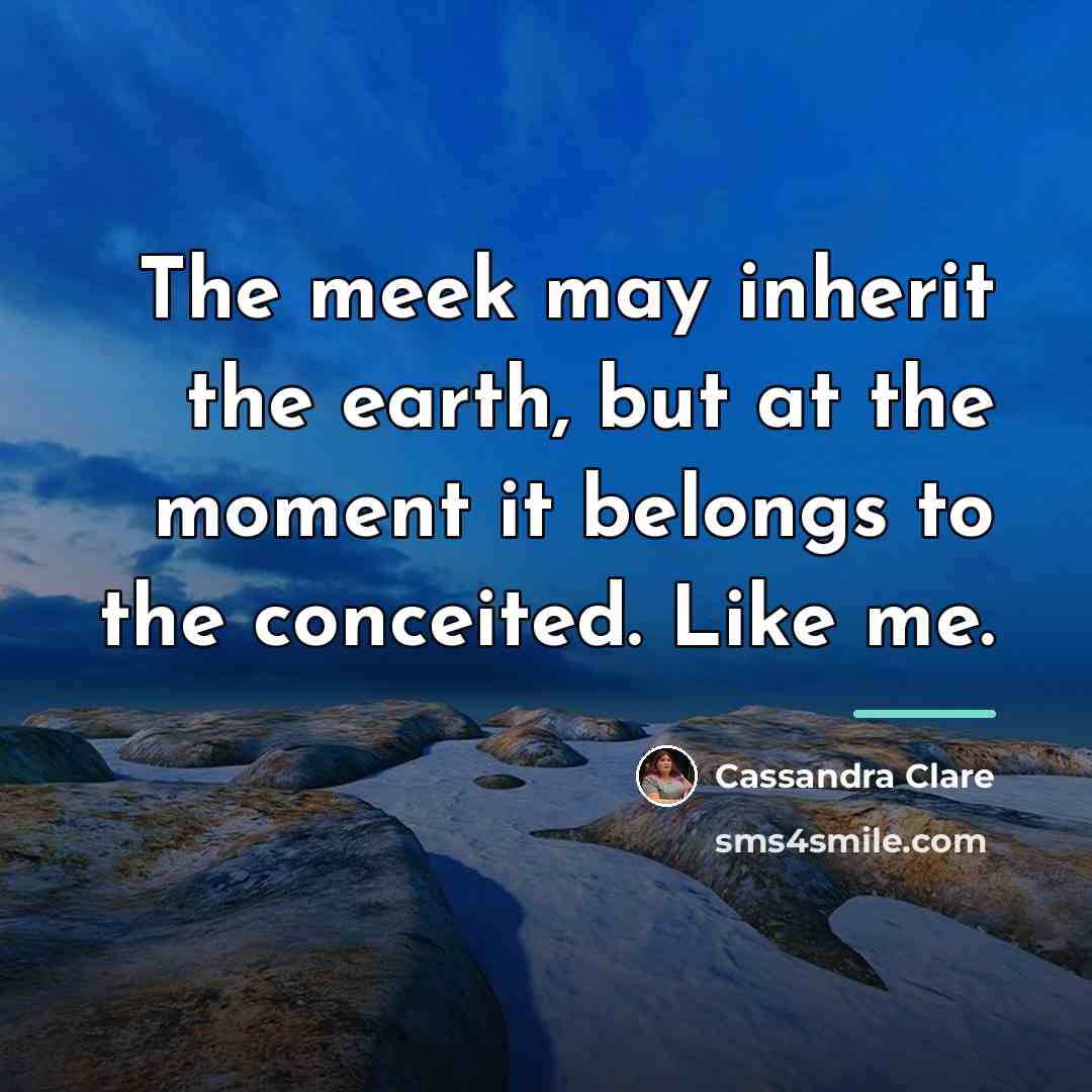 “The meek may inherit the earth, but at the moment…” quote by Cassandra Clare