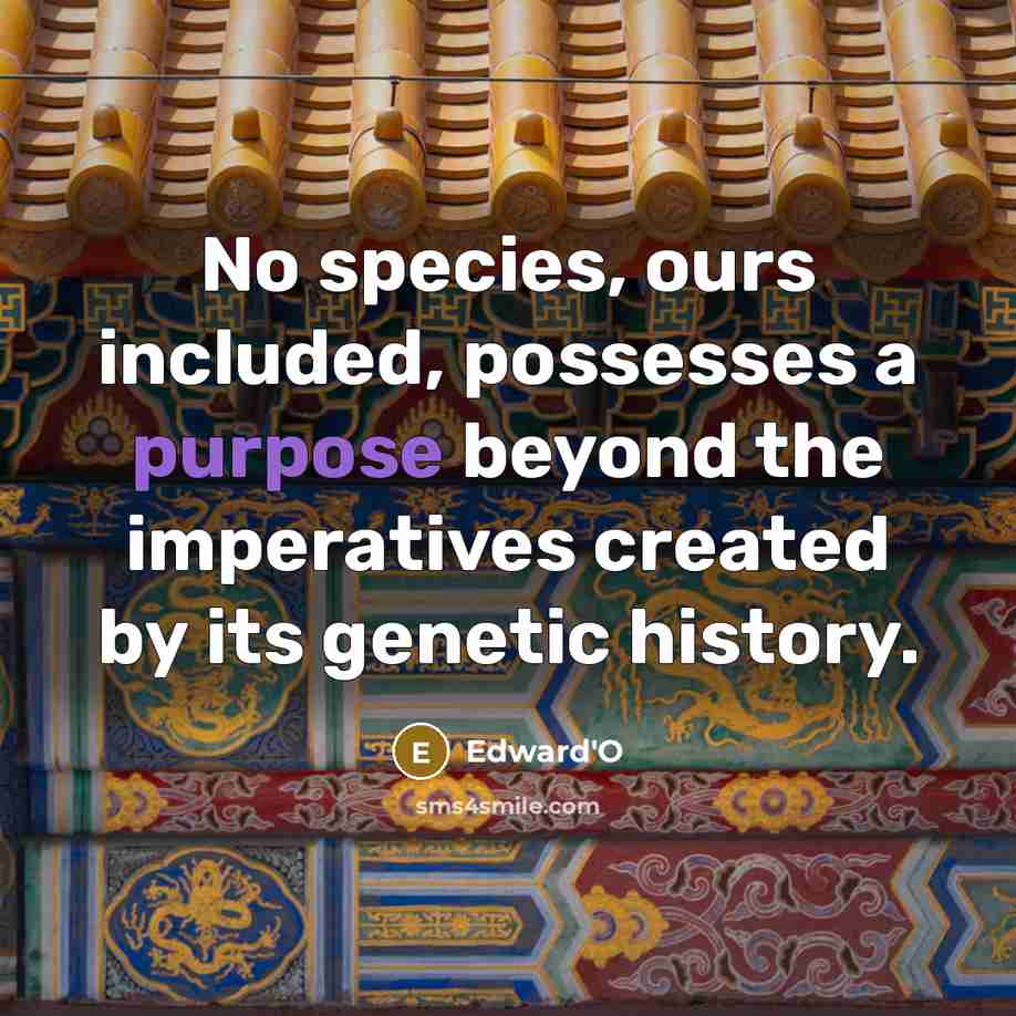 “No species, ours included, possesses a purpose beyond the imperatives…” quote by Edward'O