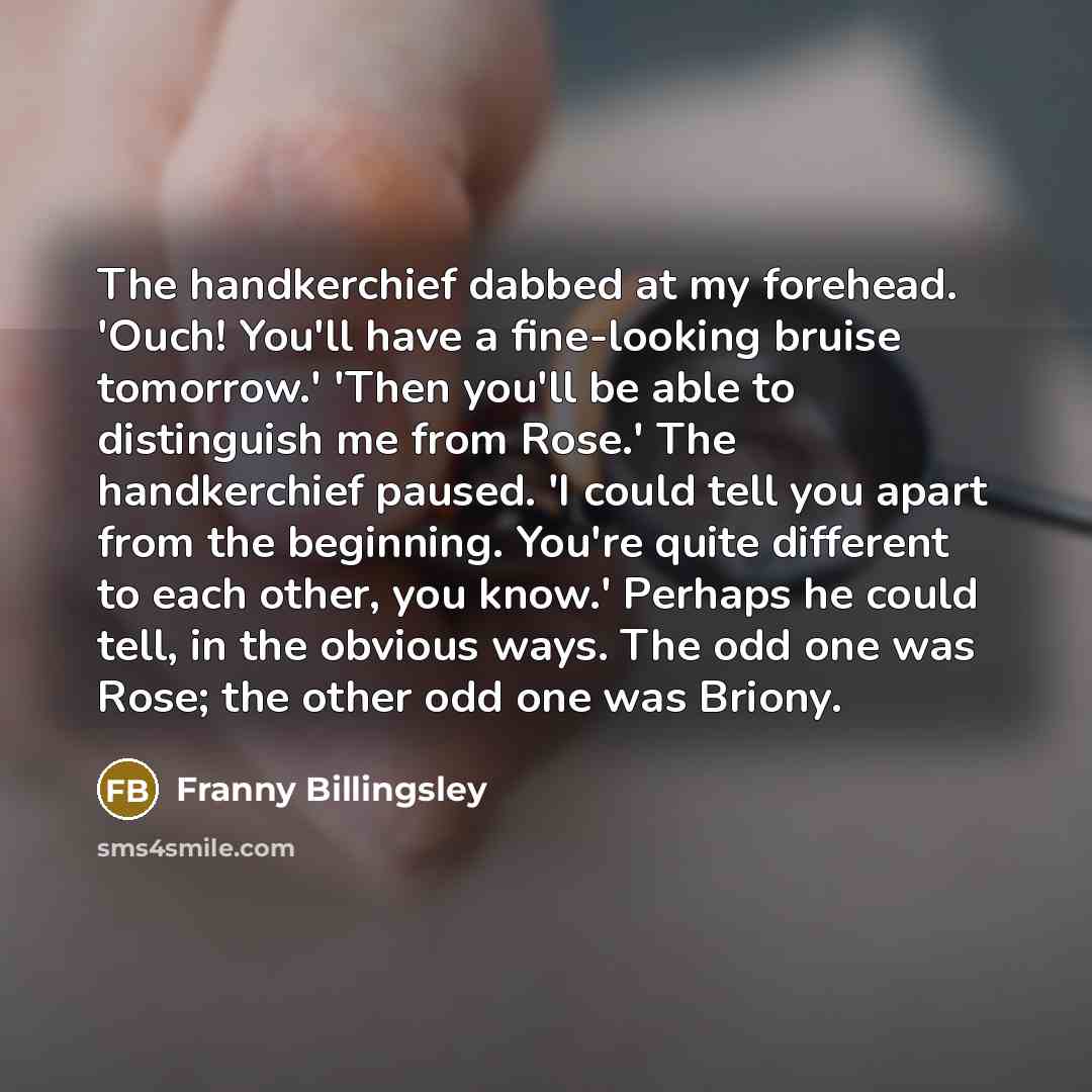 “The handkerchief dabbed at my forehead. 'Ouch! You'll have a…” quote by Franny Billingsley