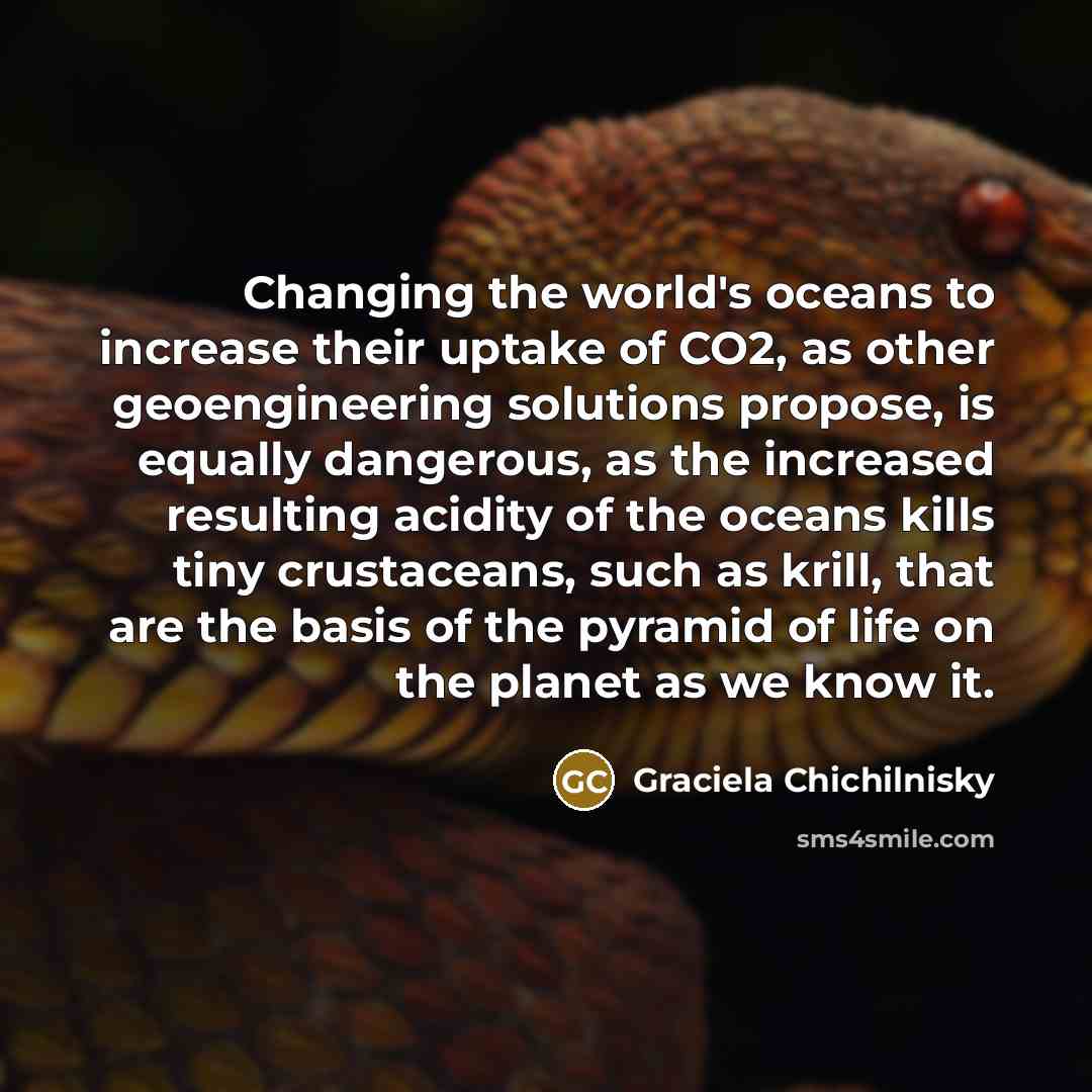 “Changing the world's oceans to increase their uptake of CO2,…” quote by Graciela Chichilnisky
