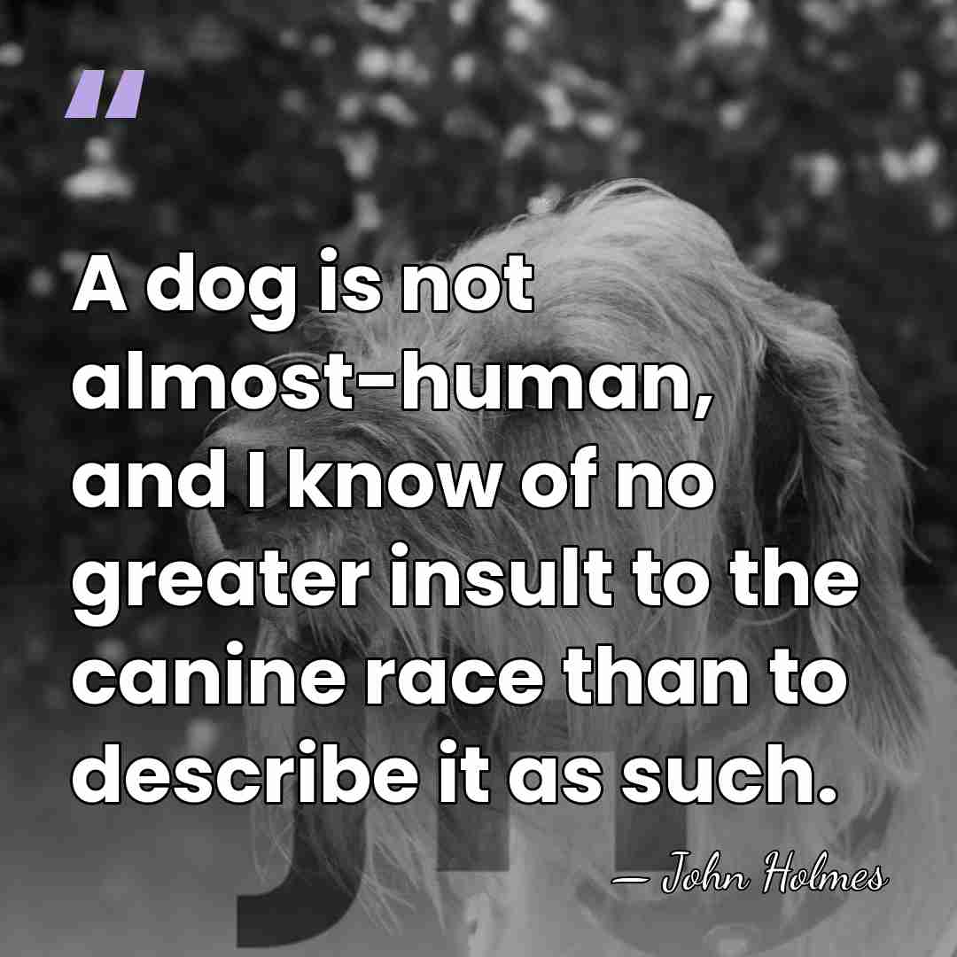 A dog is not almost-human, and I know of no greater insult&hellip; - John Holmes