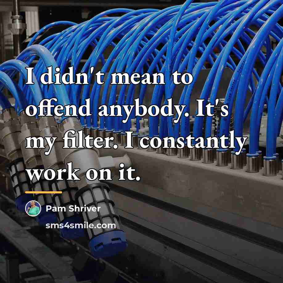 “I didn't mean to offend anybody. It's my filter. I…” quote by Pam Shriver