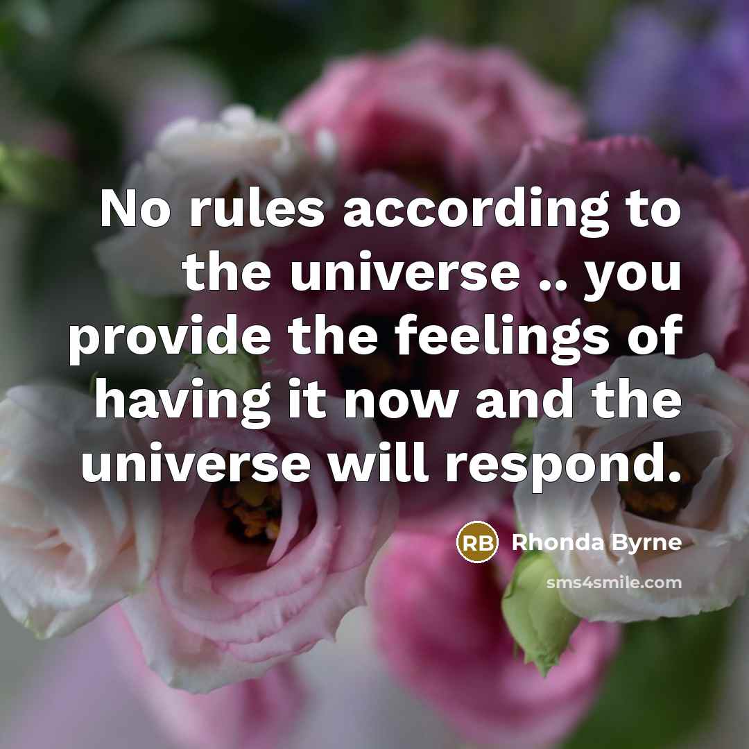 “No rules according to the universe .. you provide the…” quote by Rhonda Byrne
