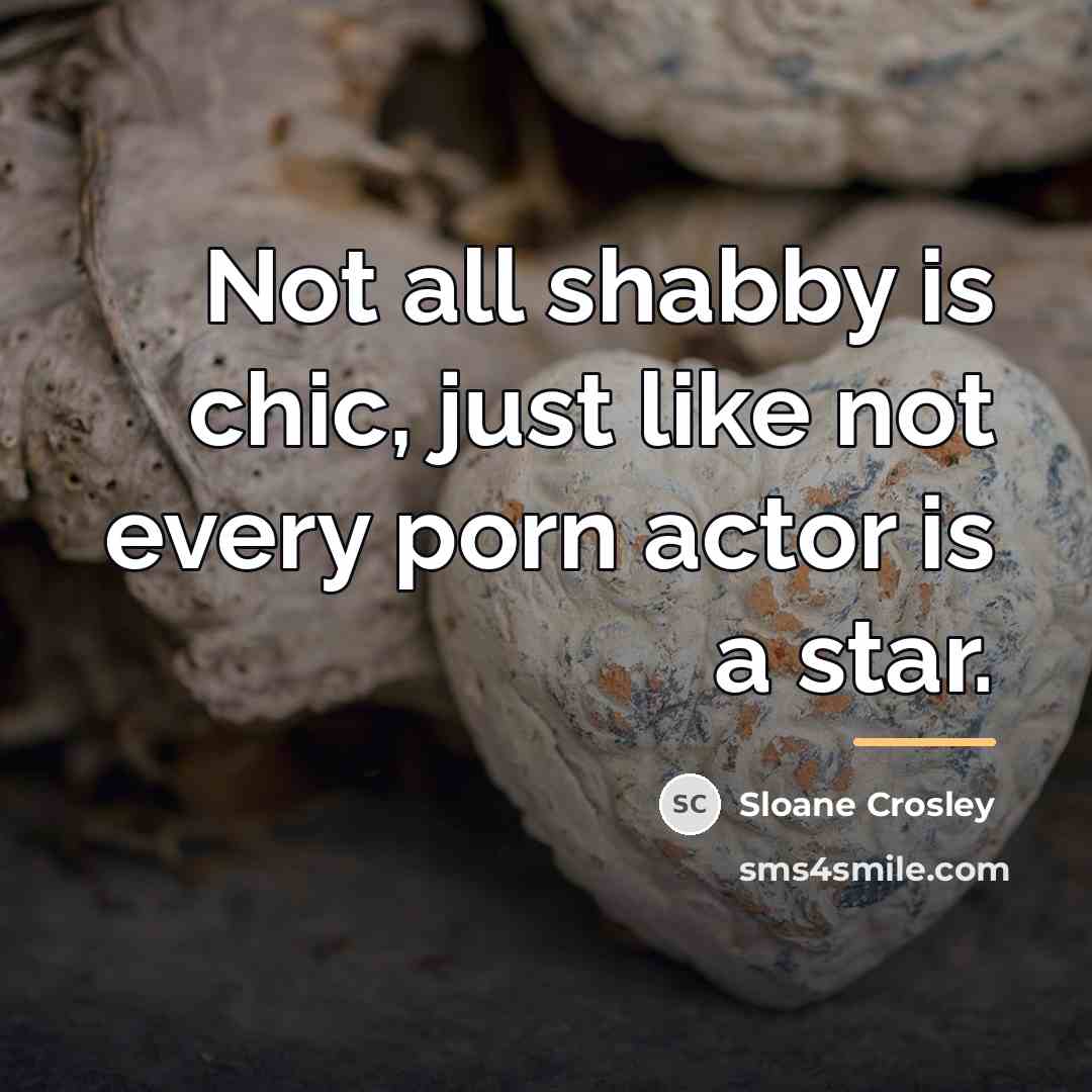 “Not all shabby is chic, just like not every porn…” quote by Sloane Crosley