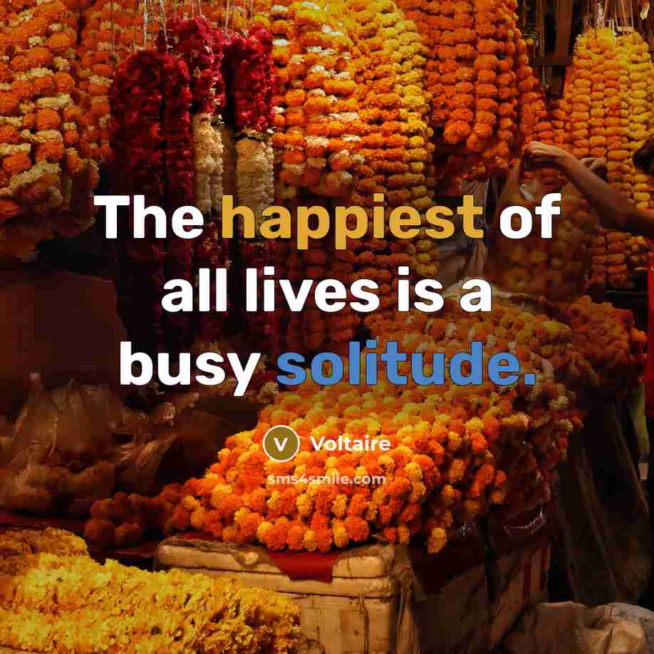 “The happiest of all lives is a busy solitude.…” quote by Voltaire
