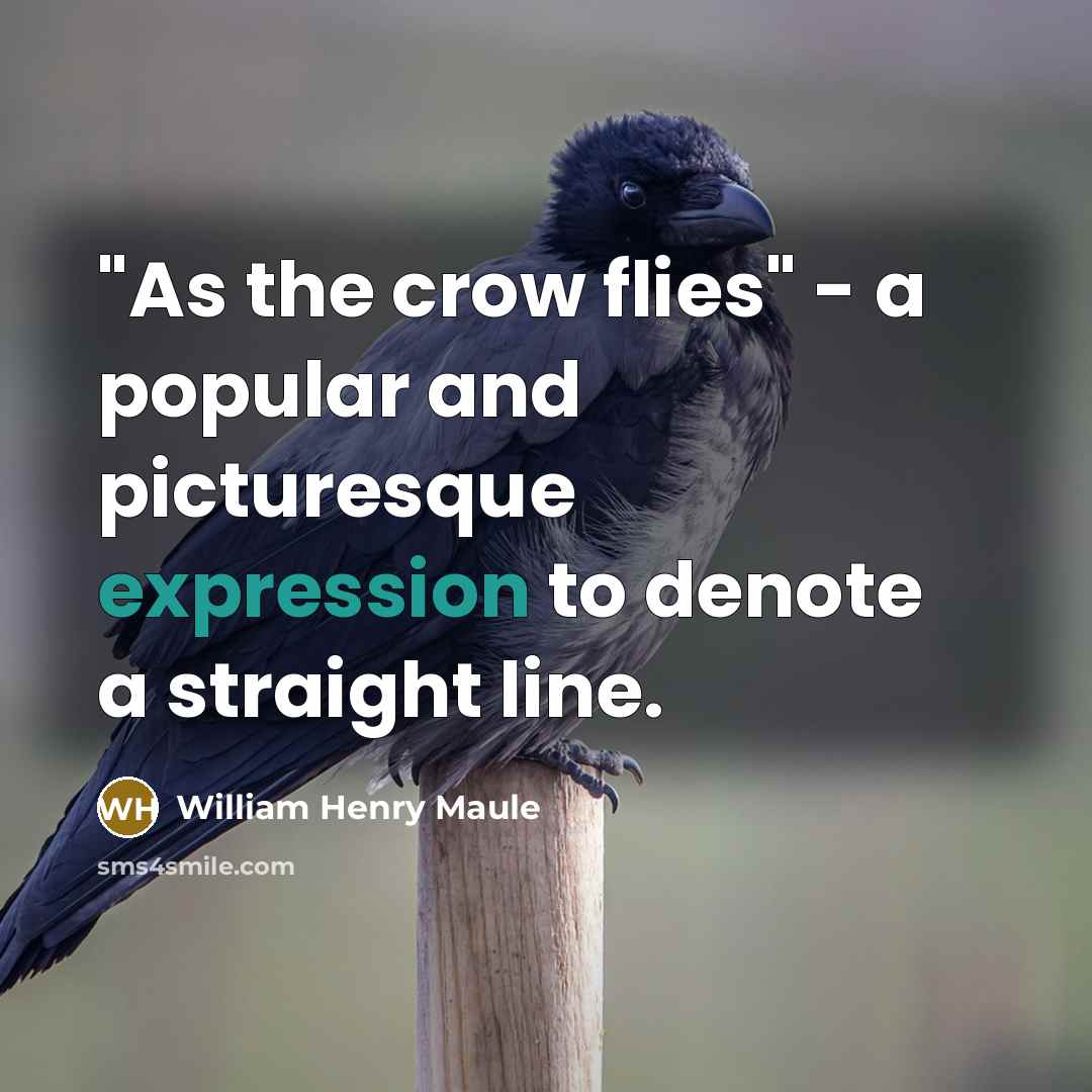 “"As the crow flies" - a popular and picturesque expression…” quote by William Henry Maule