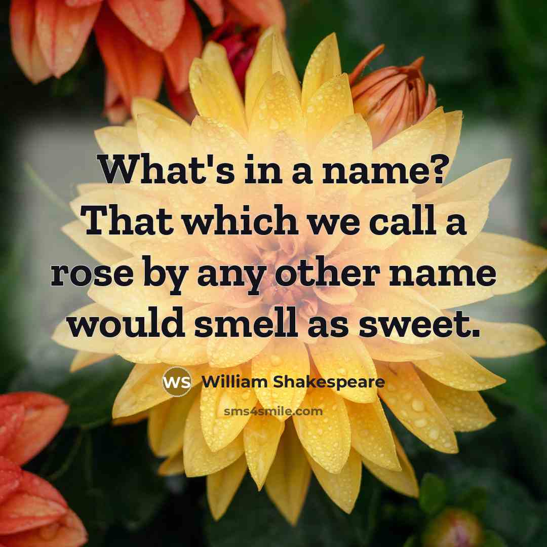 “What's in a name? That which we call a rose by any other name would smell as sweet.” quote by William Shakespeare